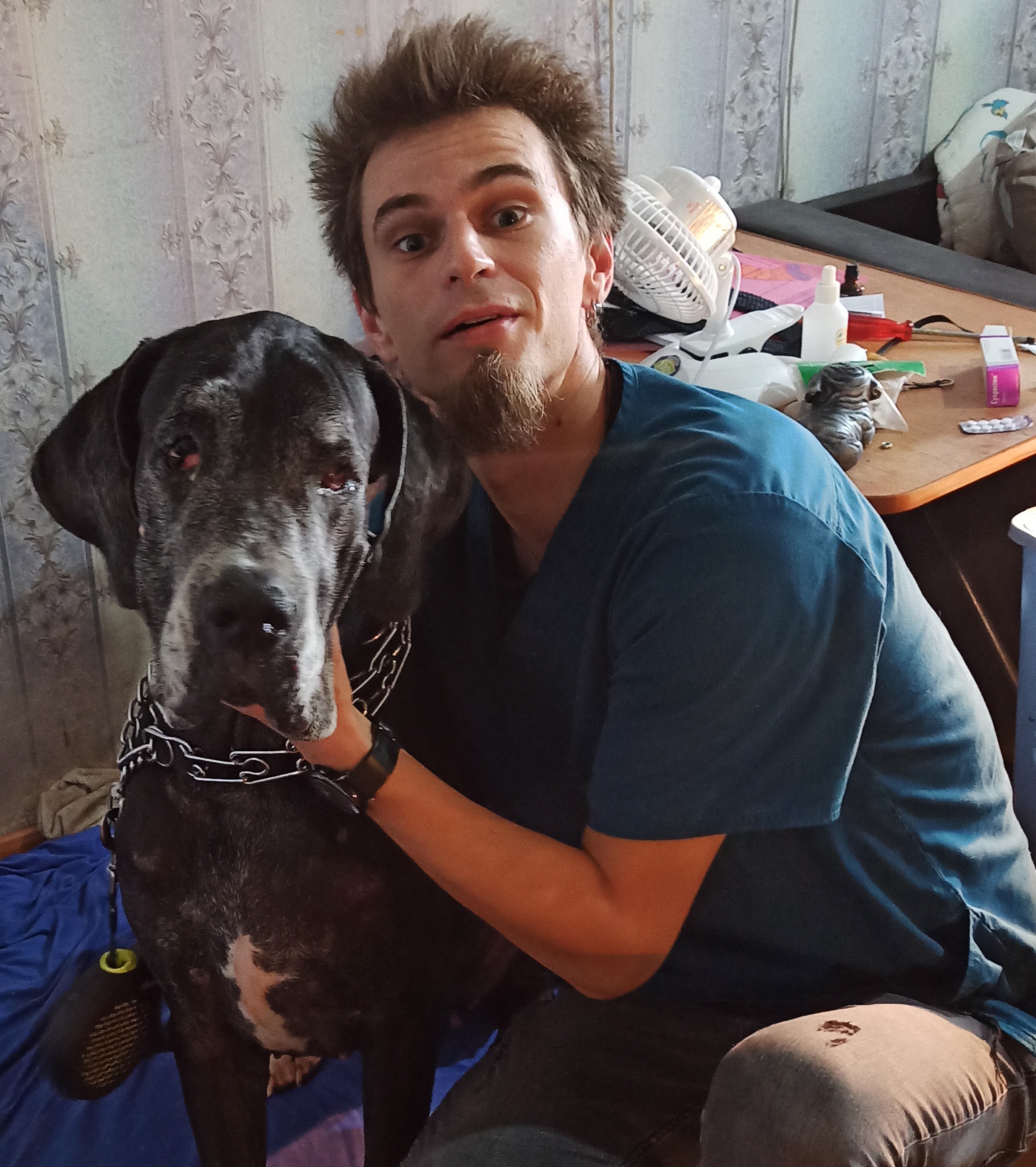 Ветеринар Володин Никита Александрович - 1 отзыв, Санкт-Петербург