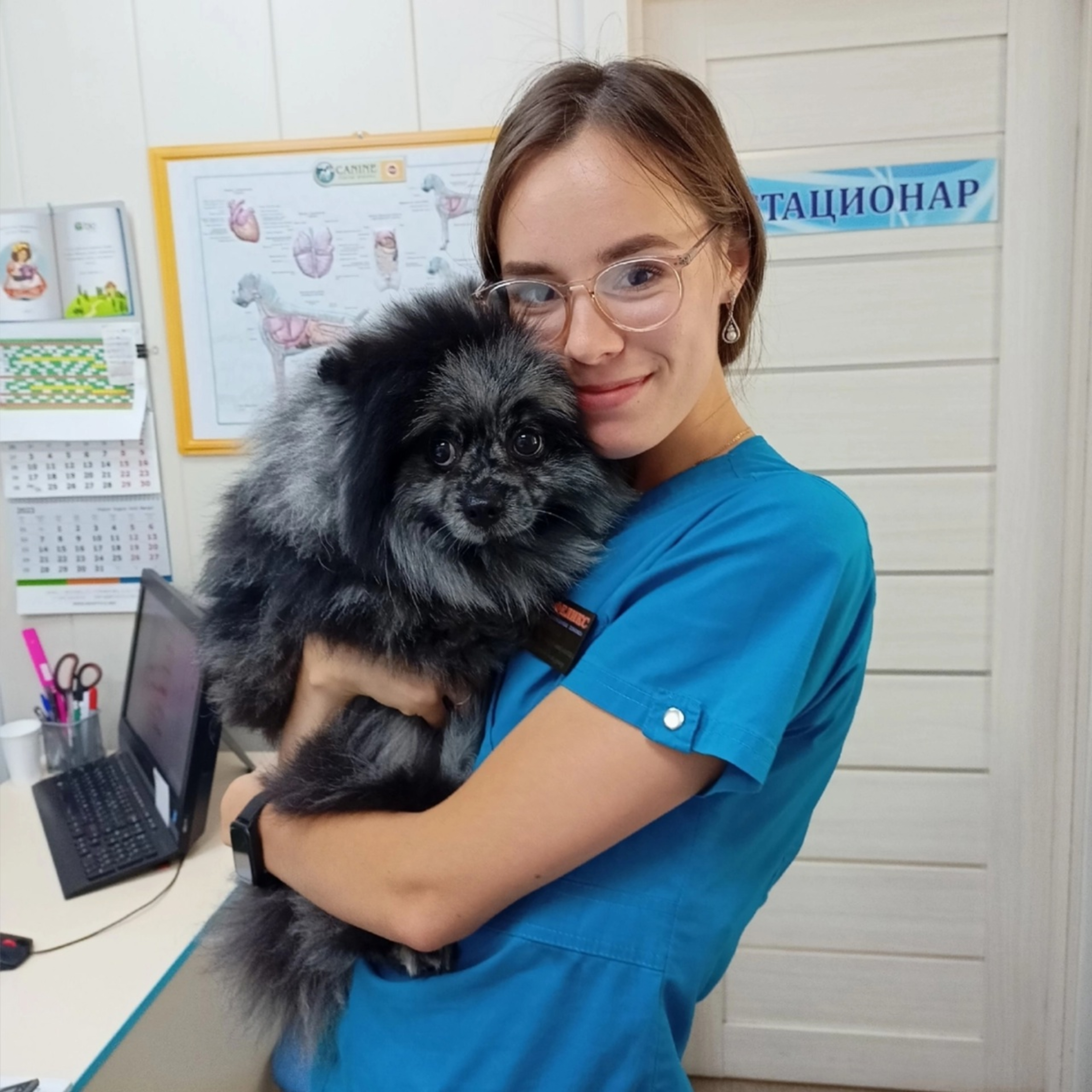 Понос и кровь у котенка — 11 ответов ветеринара на вопрос №2490657 ...