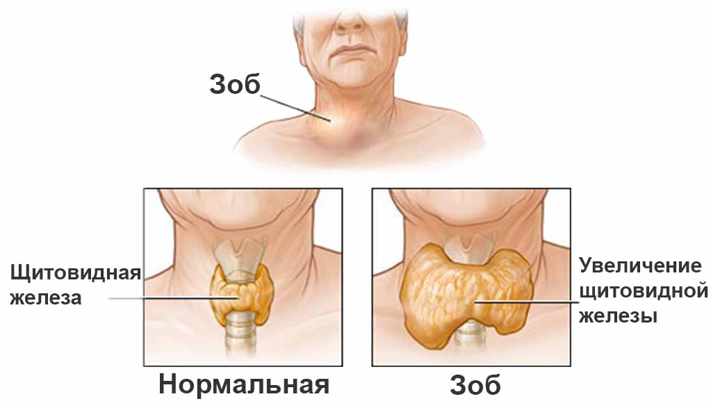 Определение понятия